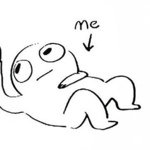 Meet your Posher, Sandy